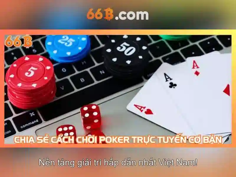 Ưu thế và sức cạnh tranh