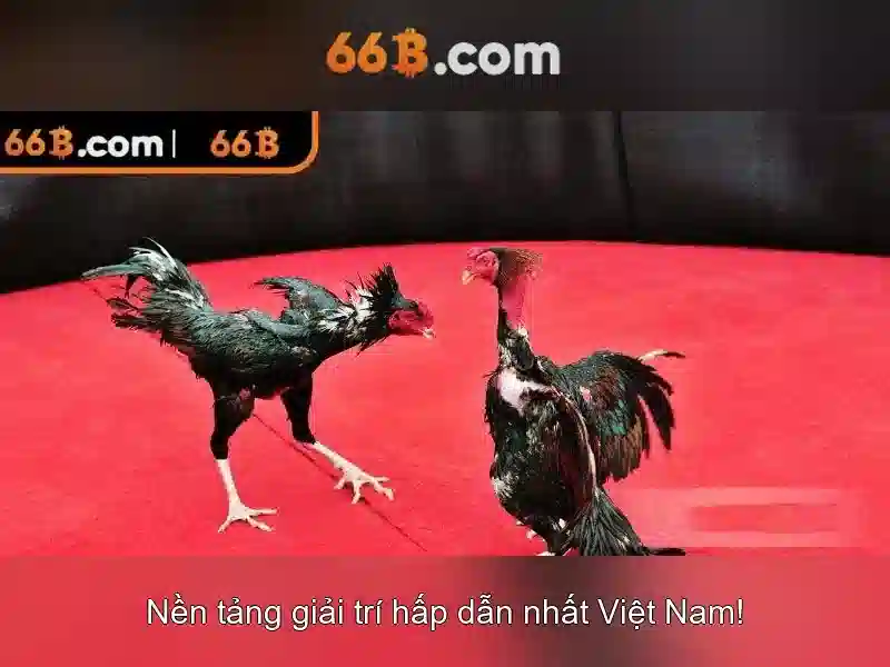 Kiến trúc và tính năng chính của 66b