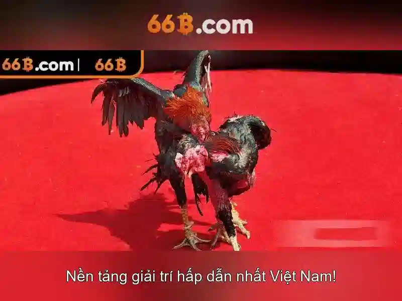 66b: một cái nhìn tổng quan về mô hình ngôn ngữ 66b