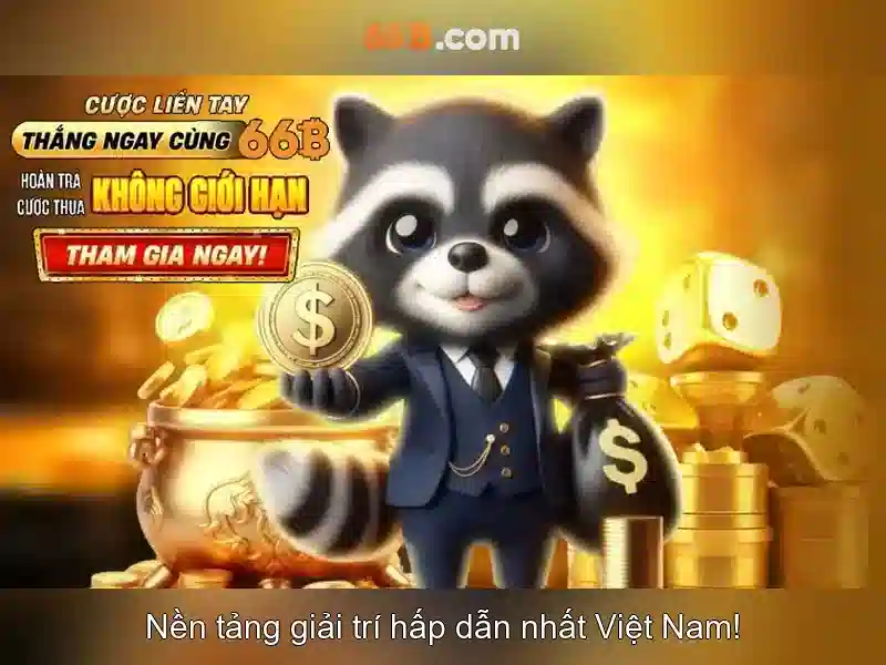 Giới thiệu về 66B