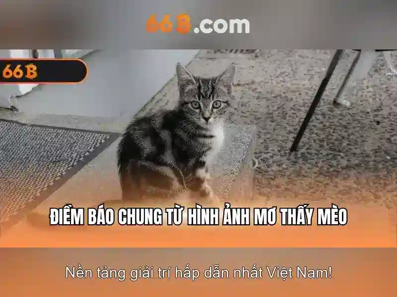 Cấu trúc và khả năng của 66B