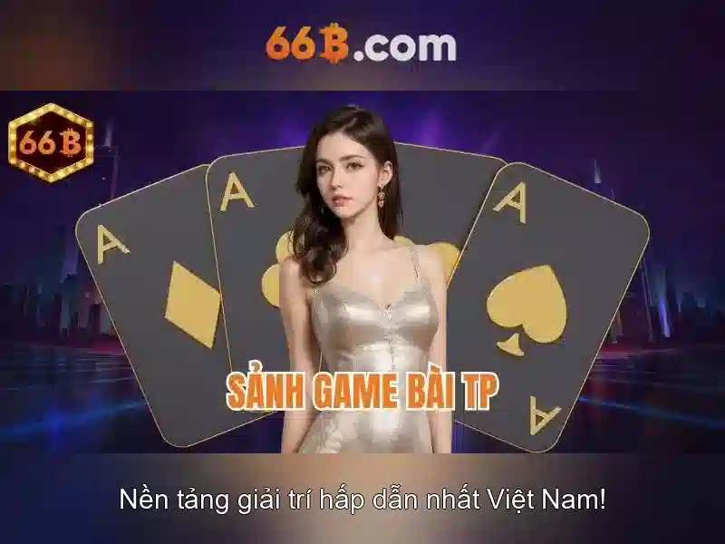 66b: Khái niệm và triển vọng