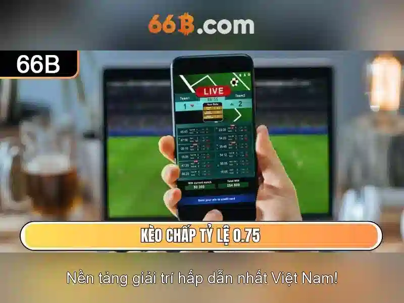 Khái niệm về 66b