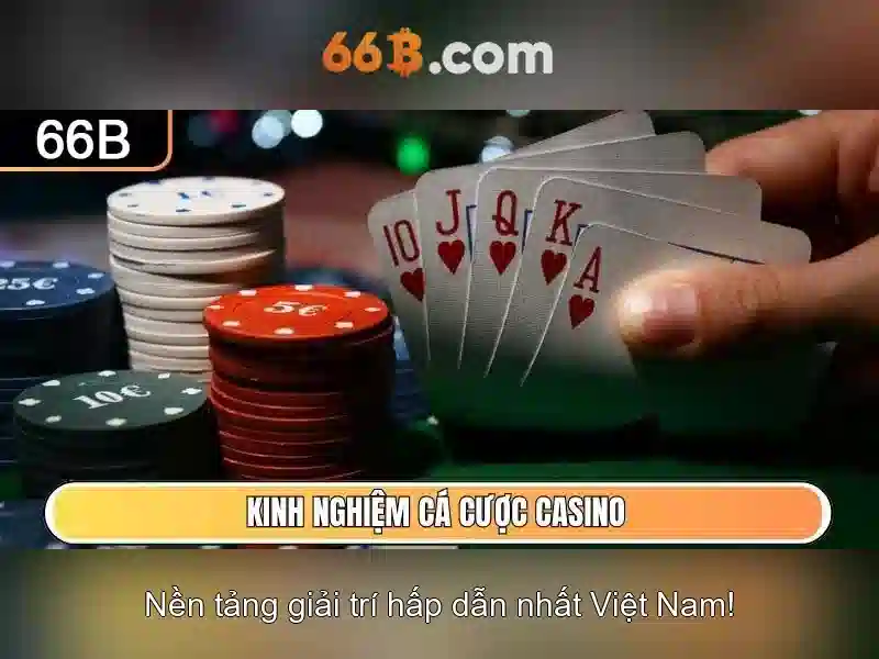 66B: Khám phá mô hình có 66 tỷ tham số