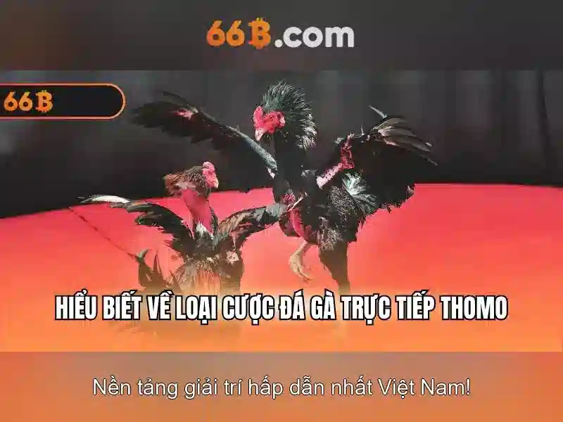 Đặc điểm kỹ thuật và khả năng