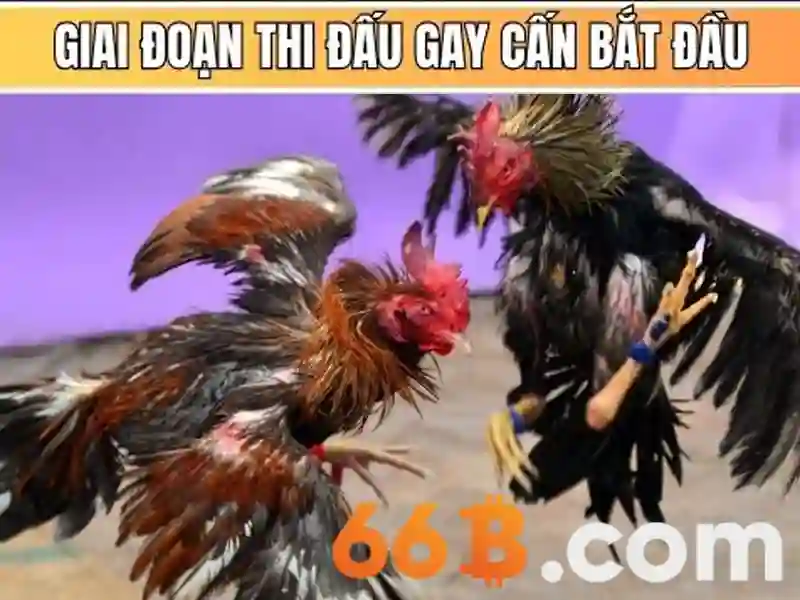 66B: Một cái nhìn tổng quan về mô hình ngôn ngữ lớn