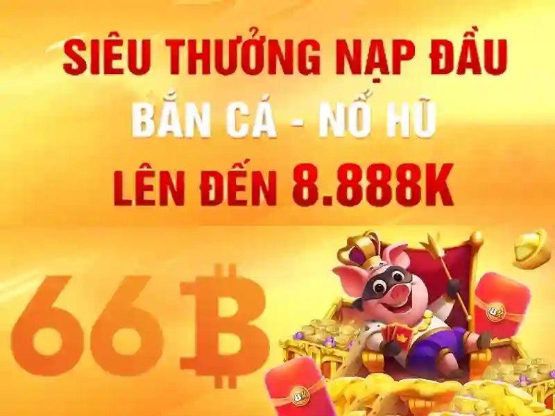 66b: một khái niệm độc đáo và hành trình khám phá