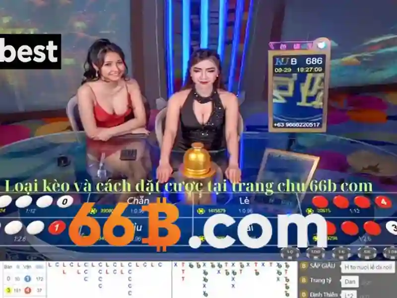 66B: Khái niệm và ứng dụng của mô hình ngôn ngữ quy mô lớn
