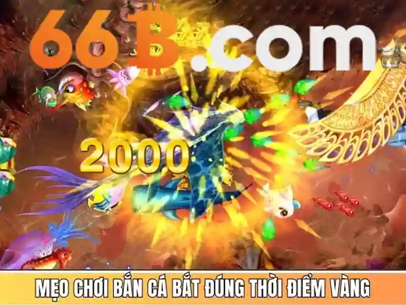 66b là gì? - Khám phá