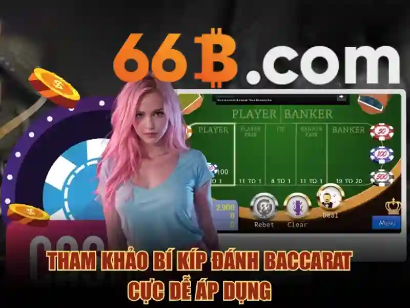66B là gì?