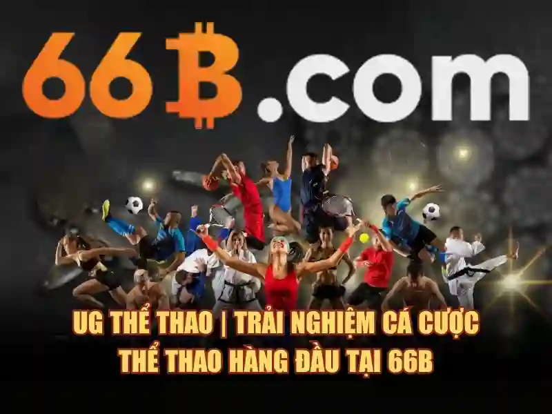 Kết luận về 66B