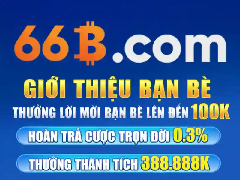 Tối ưu hóa và hiệu suất