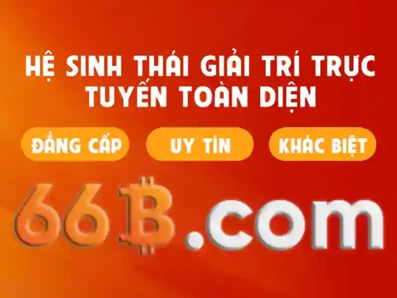 Trải nghiệm người dùng và phản hồi cộng đồng