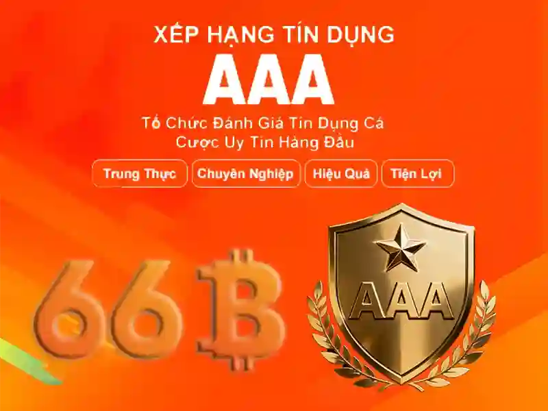 giao dịch 66b – Tổng quan, sản phẩm và tầm nhìn