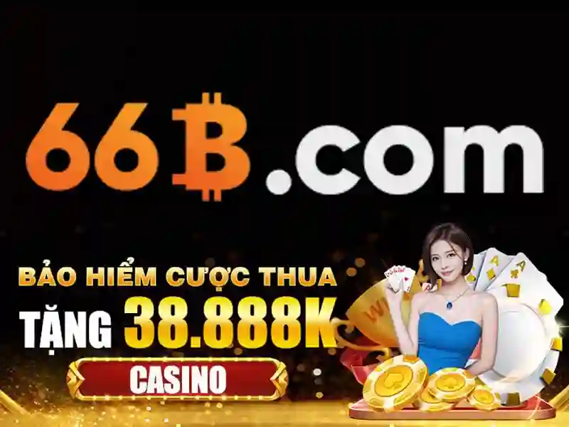 66b chính thức – Dấu ấn thương hiệu và trải nghiệm