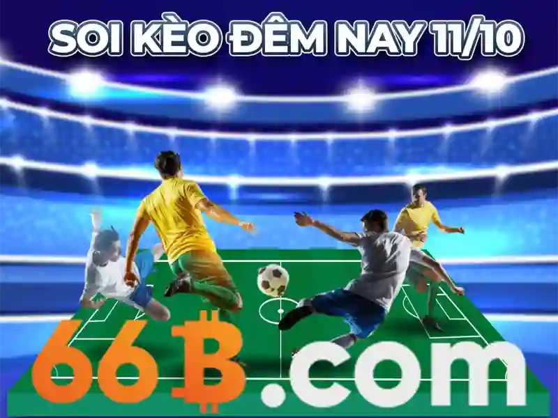 66b: Những khía cạnh và ứng dụng
