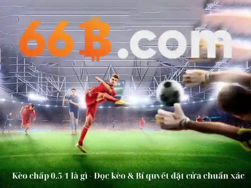 trang web 66b có thật không – Giới thiệu tổng quan và hướng đi